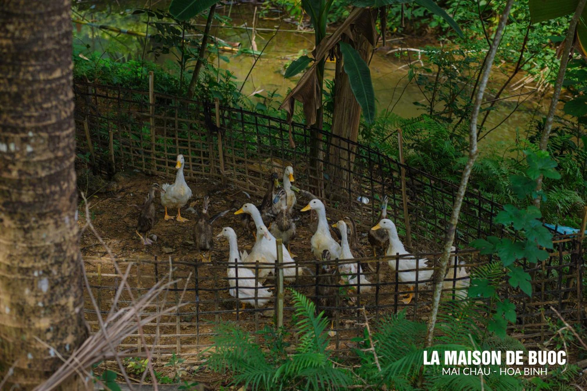 La Maison De Buoc Mai Châu Luaran gambar